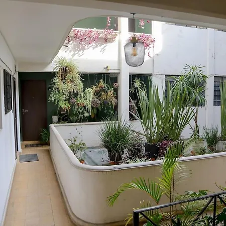 Art Deco Apartment In La Condesa